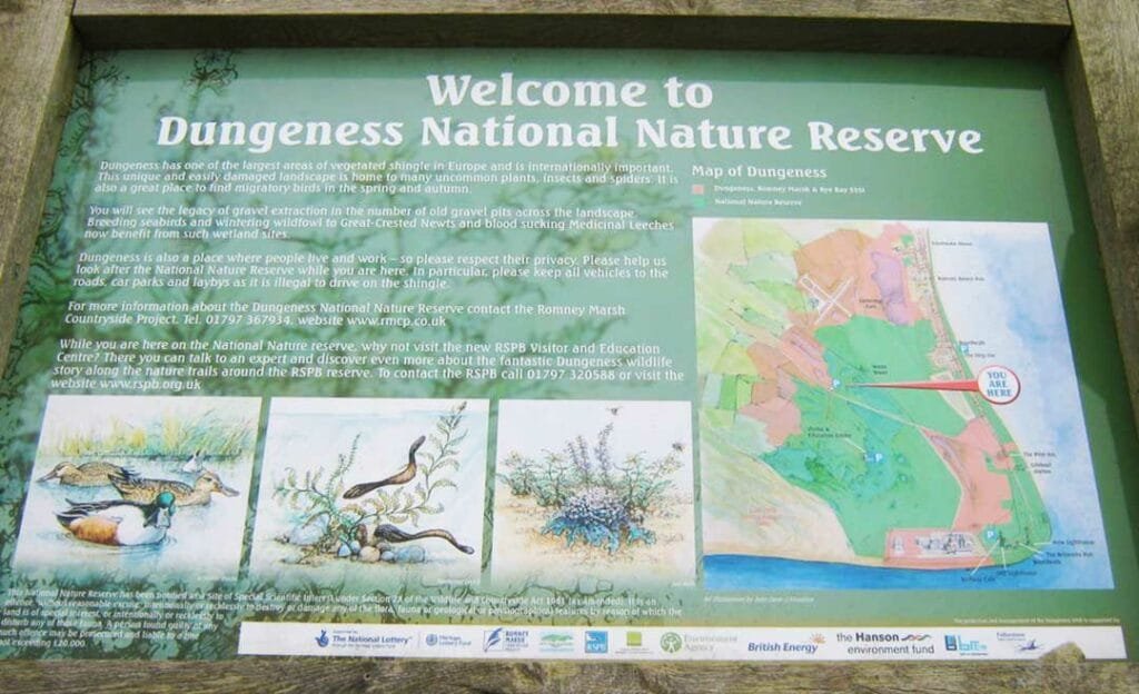 Dungeness National Nature Reserve - Things to do in Dungeness